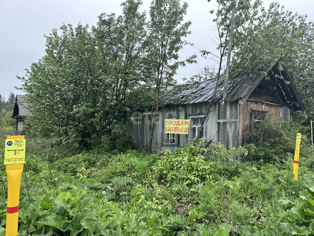 Участок в Свердловская область, Староуткинск пгт ул. 1-я Чусовская, 5 ... - Фото 1