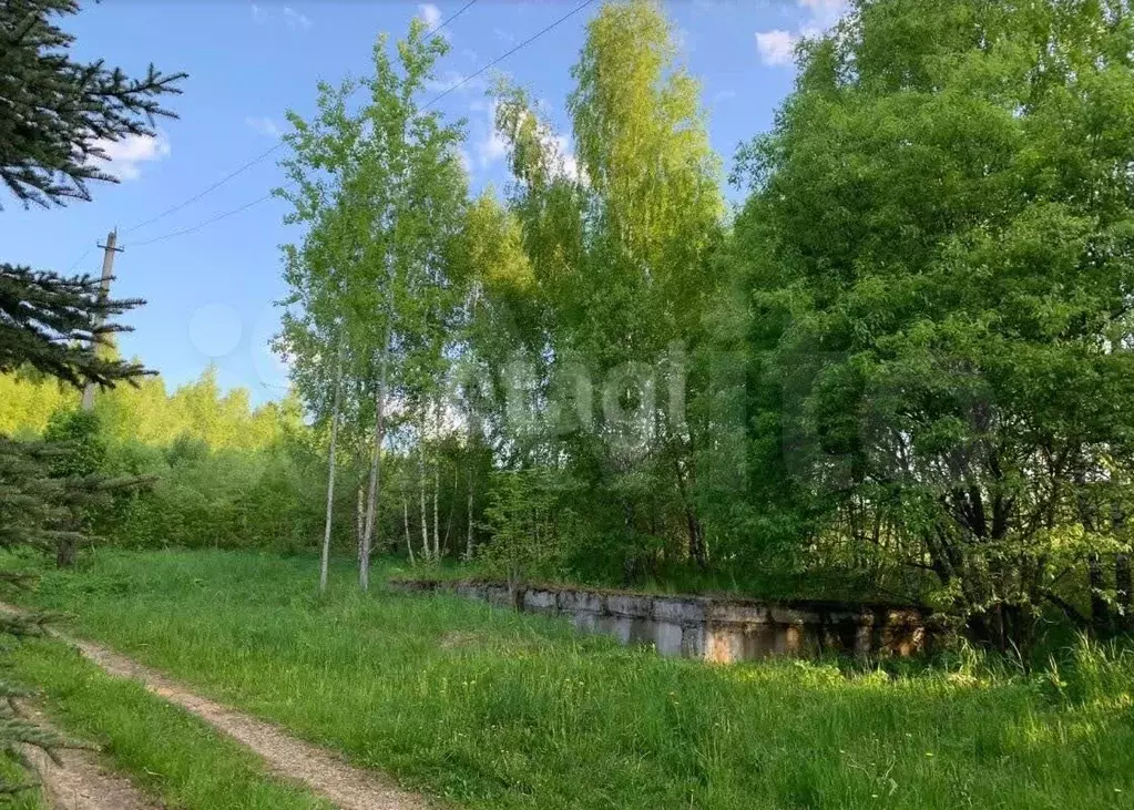 Участок 10 сот. (СНТ, ДНП) - Фото 0