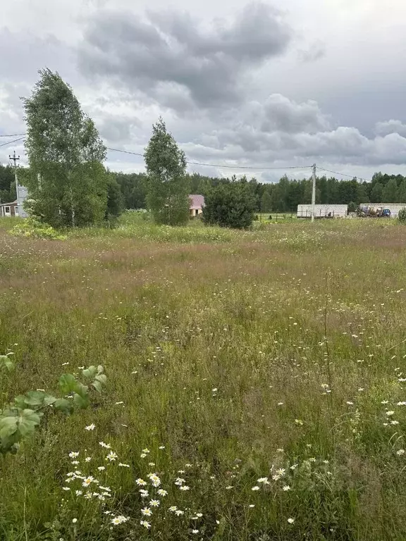 Участок в Московская область, Богородский городской округ, д. Соколово ... - Фото 2