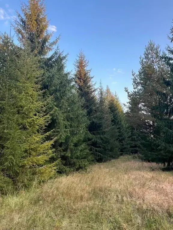 Участок, 1400 сот., сельхоз (снт или днп) - Фото 1