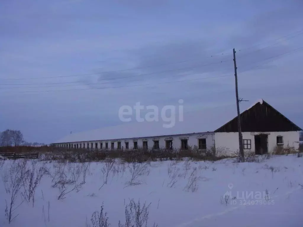 Склад в Курганская область, Шатровский муниципальный округ, д. Ударник ... - Фото 1