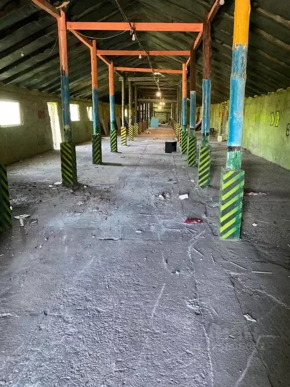 Производственное помещение в Крым, Симферопольский район, Перовское ... - Фото 2