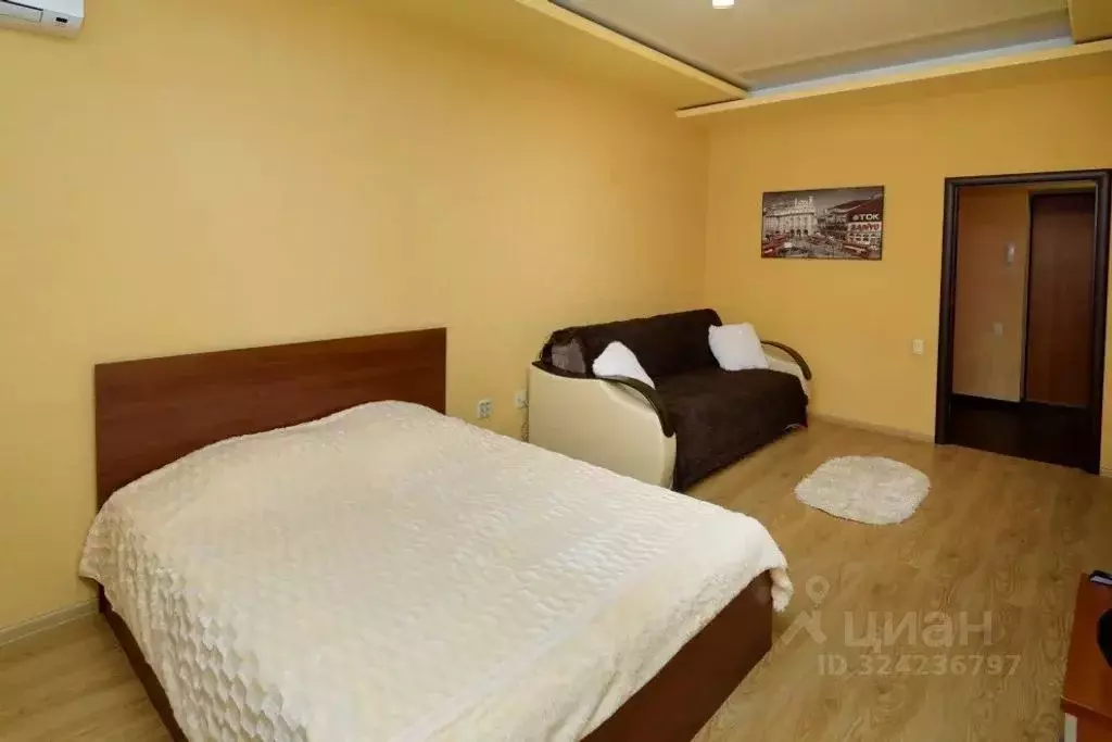 1-к кв. Пензенская область, Пенза ул. Пушкина, 15 (55.0 м) - Фото 2