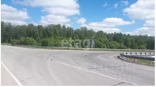 Участок в Новосибирская область, Мошковский район, с. Сокур  (15.0 ... - Фото 1