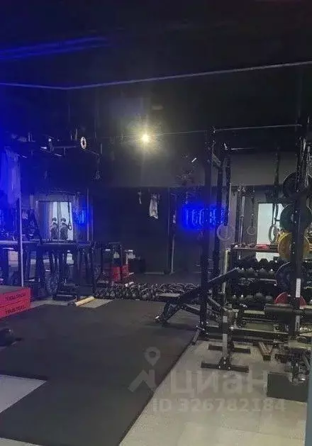 Помещение свободного назначения в Москва ул. Воздвиженка, 4/7С1 (480 ... - Фото 2