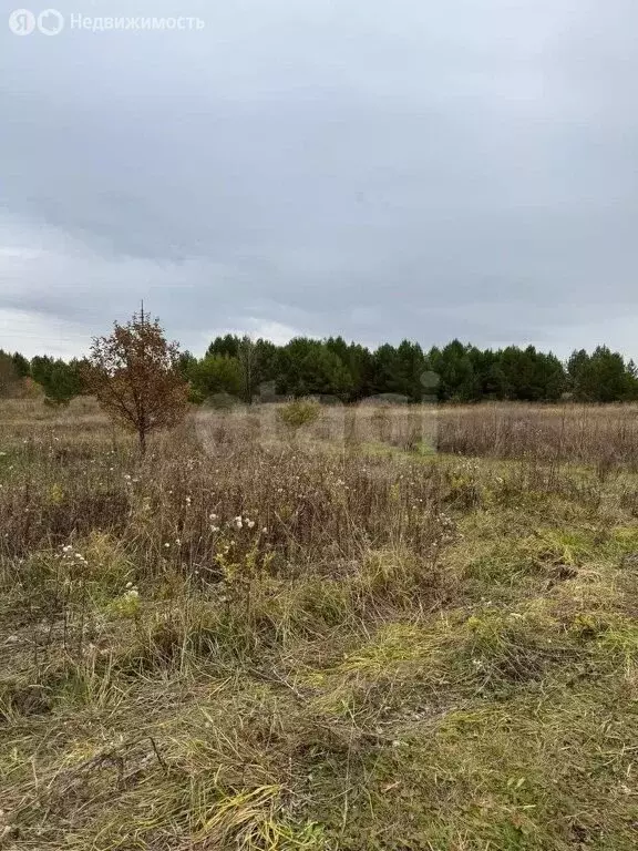 Участок в Сарапул, Удачная улица (4 м) - Фото 2