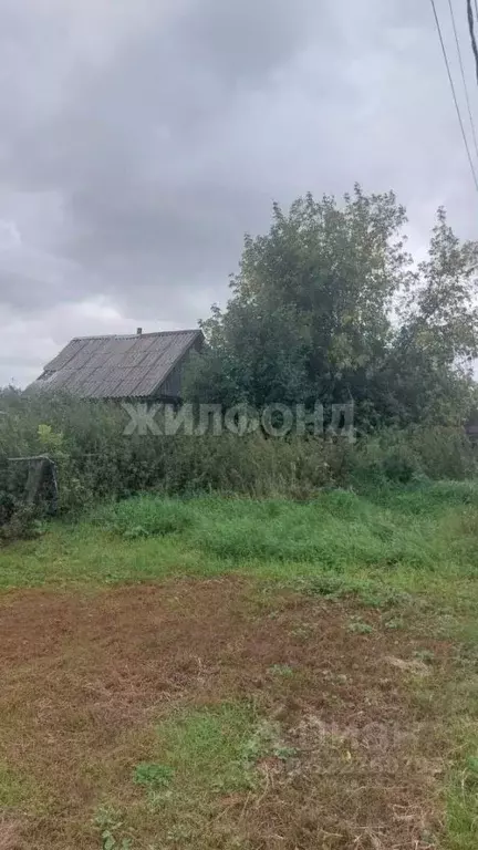 Дом в Новосибирская область, Новосибирский район, с. Криводановка ул. ... - Фото 1