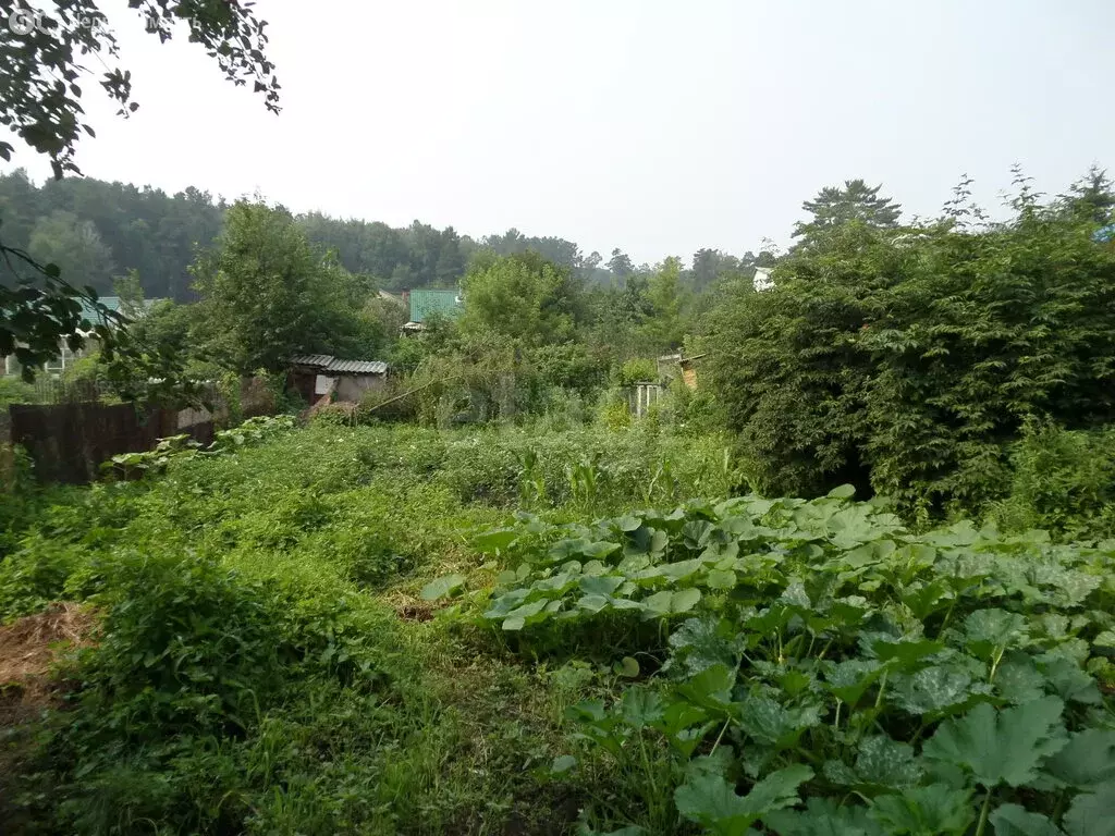 Участок в Красноярск, Еловая улица (4.5 м) - Фото 1