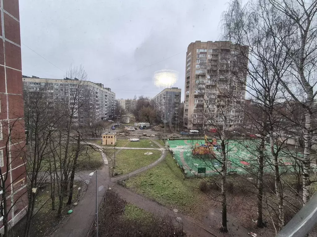 2-к кв. Санкт-Петербург просп. Луначарского, 39К1 (45.0 м) - Фото 2