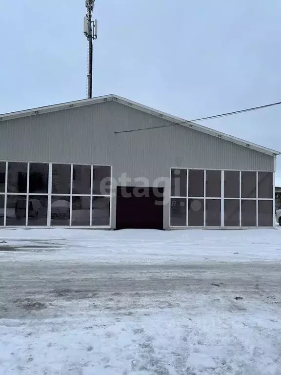 Помещение свободного назначения в Псковская область, Псков ул. ... - Фото 1