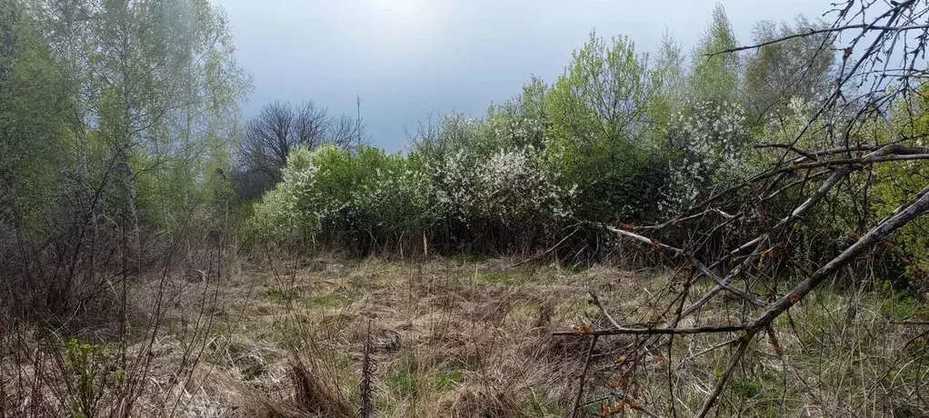 Участок в Московская область, Луховицы Росинка садовое товарищество,  ... - Фото 1