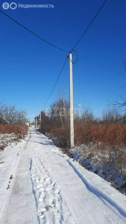 Участок в Хабаровск, СДТ Луч (8.1 м) - Фото 1