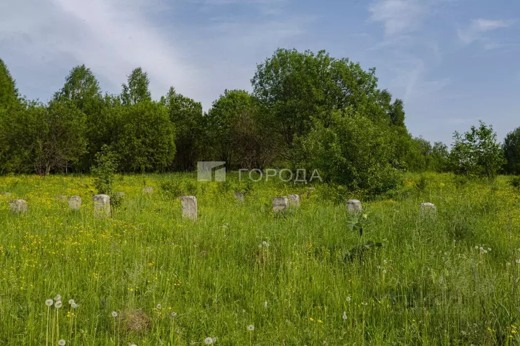 Участок в Кемеровская область, Новокузнецкий муниципальный округ, с. ... - Фото 1