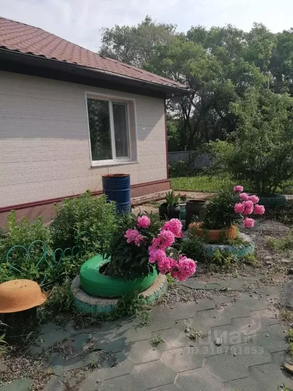 Дом в Приморский край, Хорольский муниципальный округ, с. Новодевица ... - Фото 1