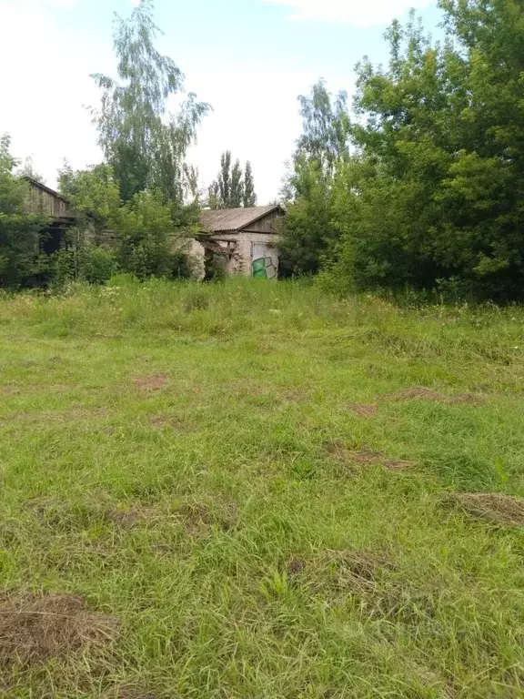 Гараж в Воронежская область, Эртиль Советская ул., 2 (40 м) - Фото 0