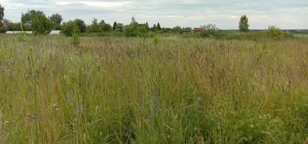 Участок в Суздальский район, муниципальное образование Селецкое, село ... - Фото 0