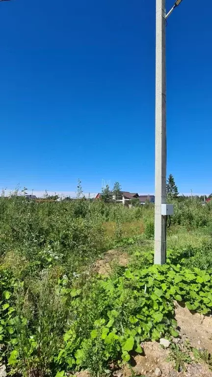 Участок в Ленинградская область, Сосновый Бор Собственников ... - Фото 1