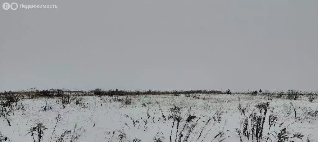 Участок в деревня Тиганово, Зареченская улица (26.5 м) - Фото 1