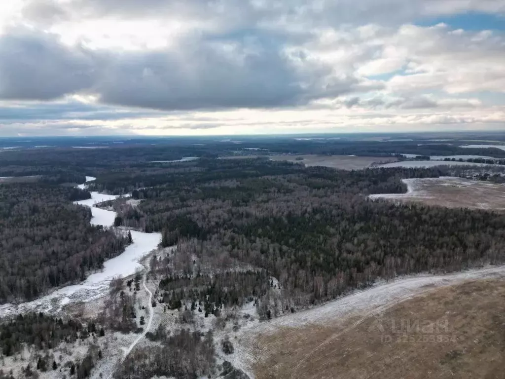 Участок в Калужская область, Боровский муниципальный округ, ... - Фото 1