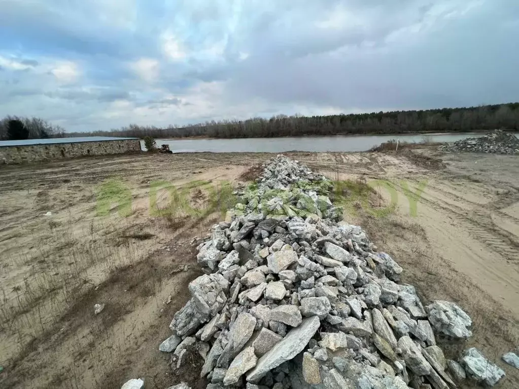 Участок в Новосибирская область, Новосибирский район, Кудряшовский дп ... - Фото 1