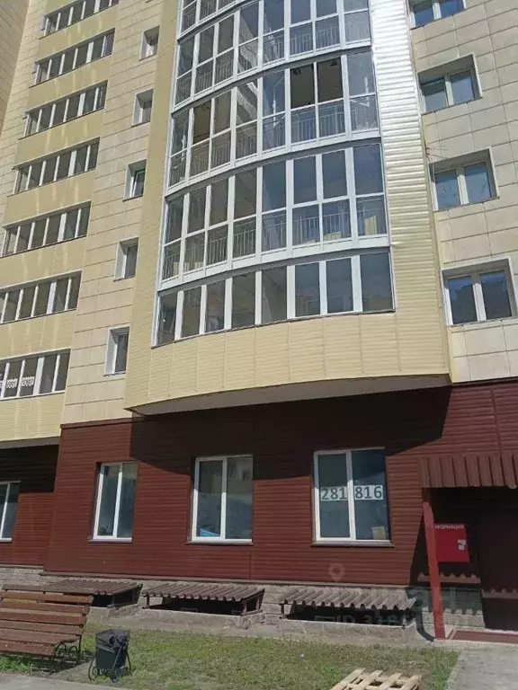 1-к кв. Омская область, Омск ул. Кирова, 51к1 (38.5 м) - Фото 1