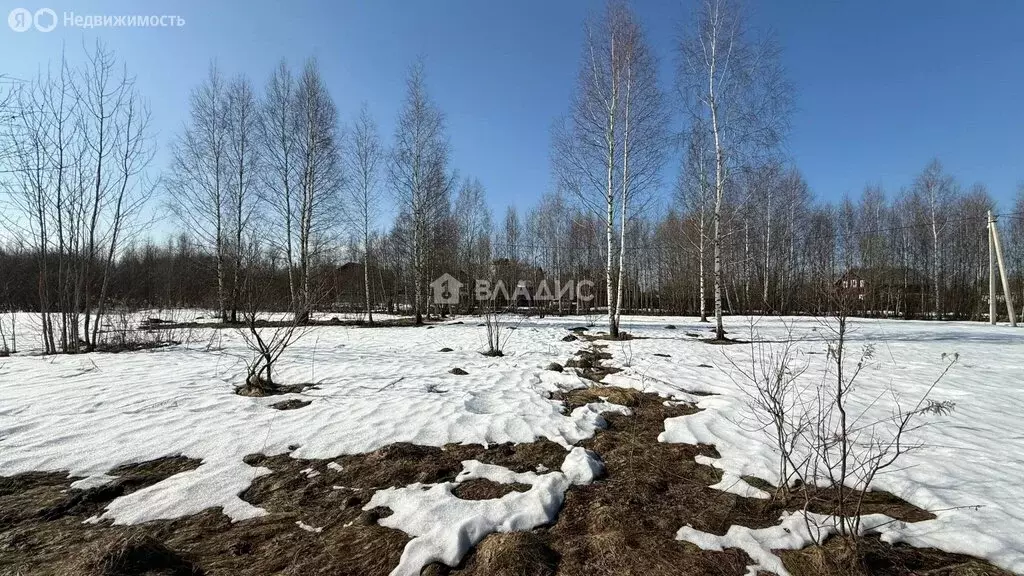 Участок в Московская область, городской округ Электросталь, деревня ... - Фото 2