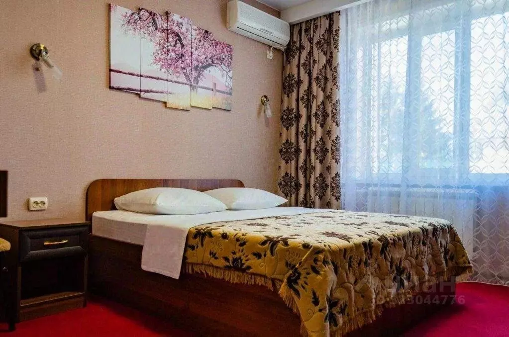 Комната Амурская область, Белогорск ул. Серышева, 3/1 (17.0 м) - Фото 1