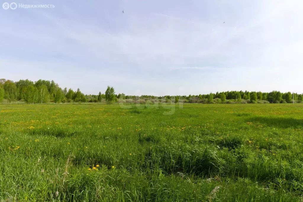 Участок в Тульская область, городской округ Алексин, село Бунырево (12 ... - Фото 2