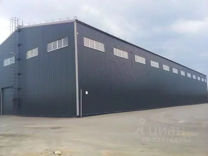 Склад в Московская область, Пушкинский городской округ, д. ... - Фото 2