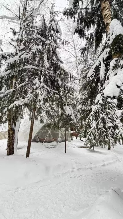 Дом в Московская область, Звенигород Одинцовский городской округ, ... - Фото 2
