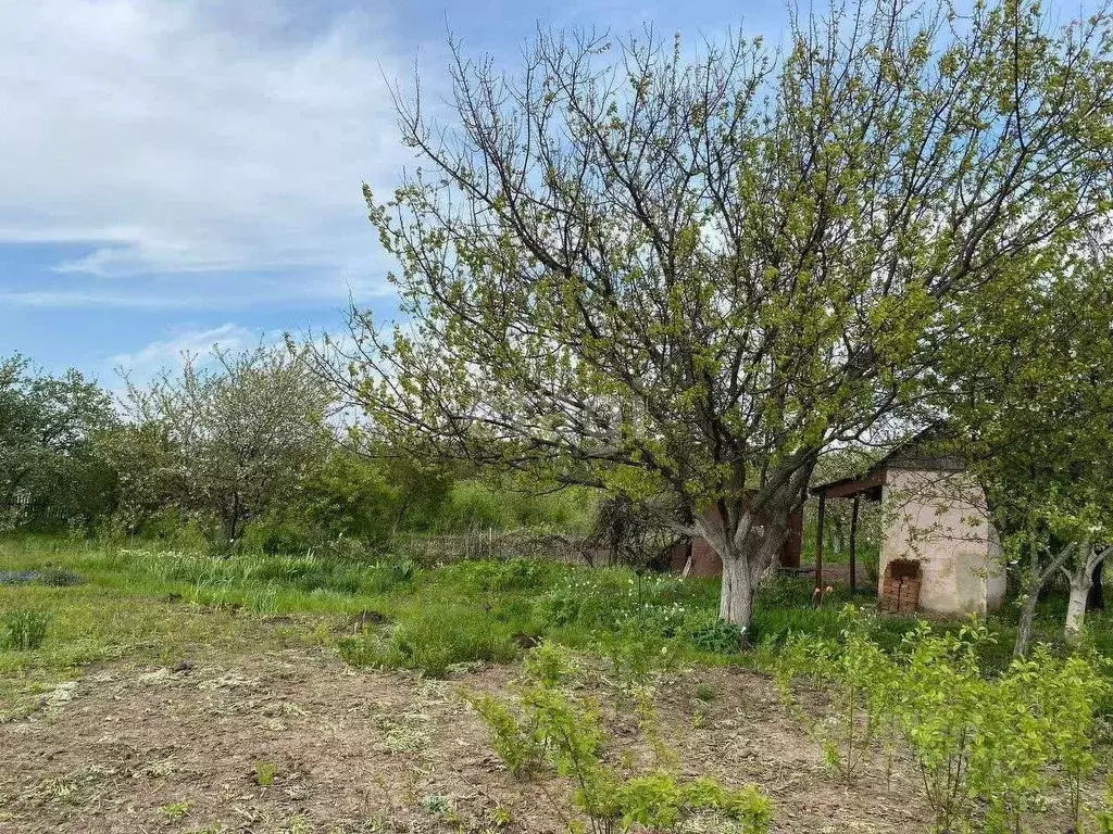 Участок в Белгородская область, Белгород Зеленая Горка садоводческое ... - Фото 2