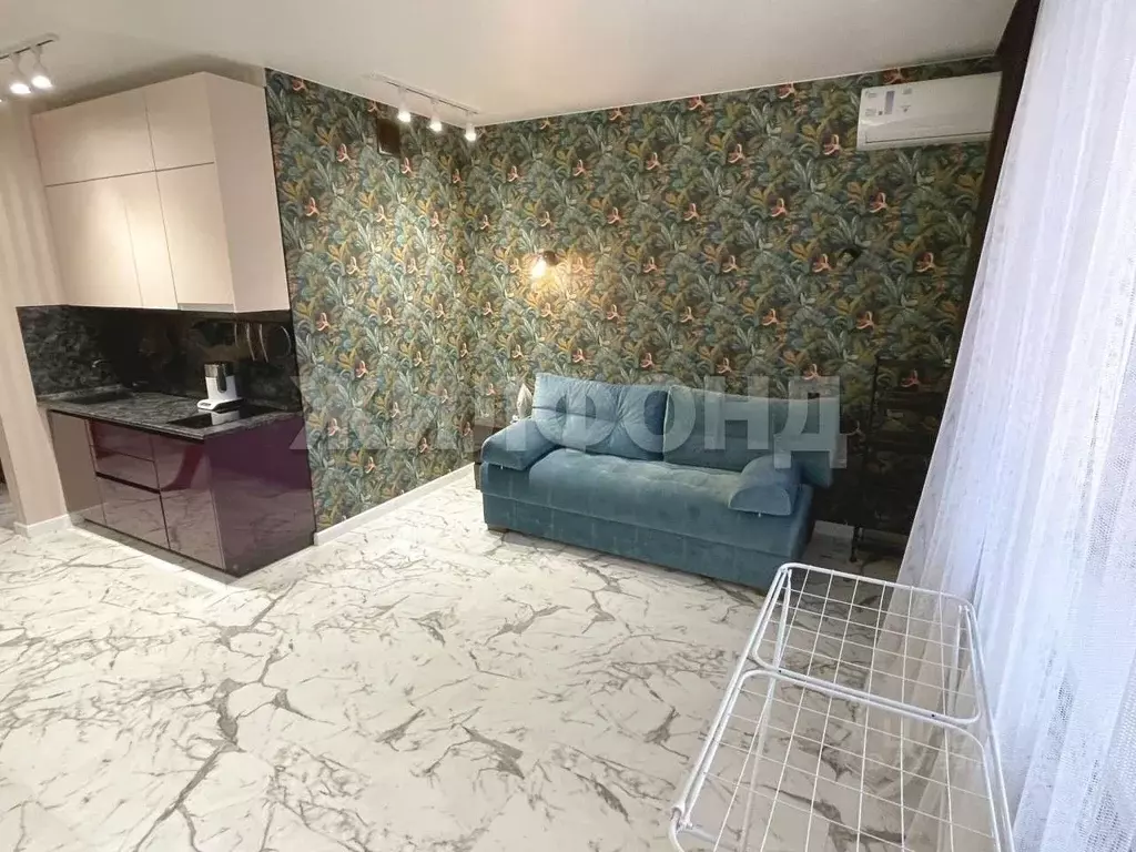 Студия Новосибирская область, Новосибирск ул. Писарева, 125 (29.0 м) - Фото 2