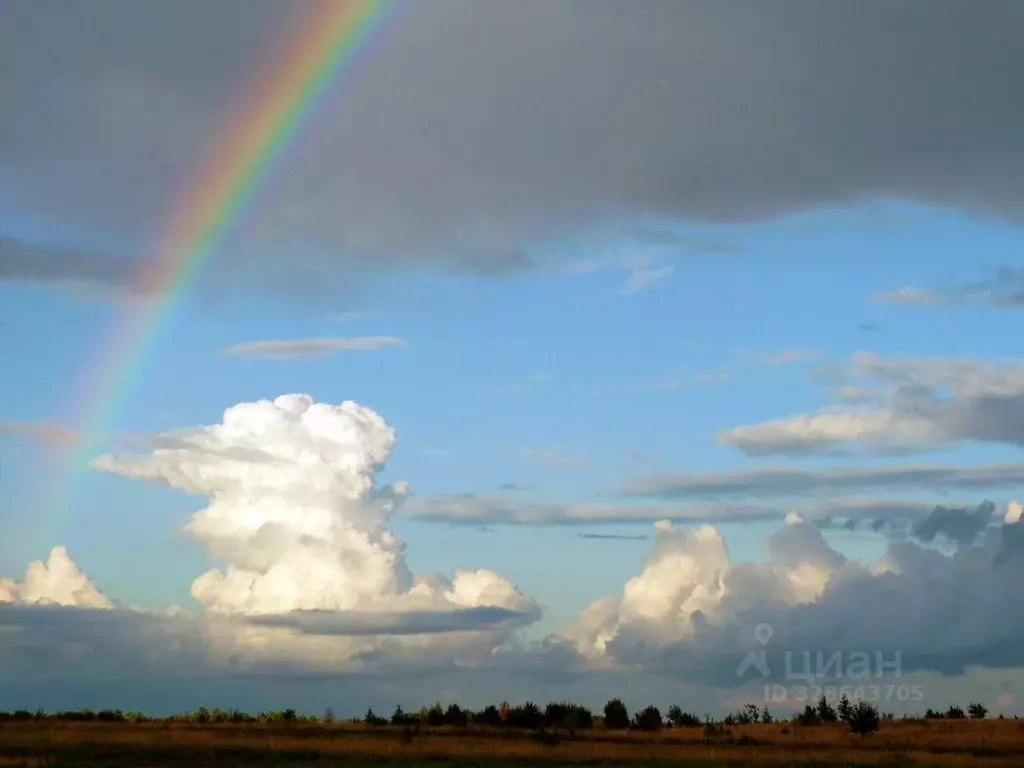 Участок в Московская область, Раменский муниципальный округ, с. ... - Фото 1