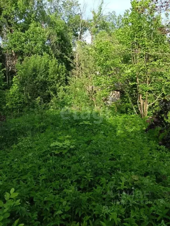 Участок в Ульяновская область, Ульяновск Лесовод СНТ,  (5.0 сот.) - Фото 1