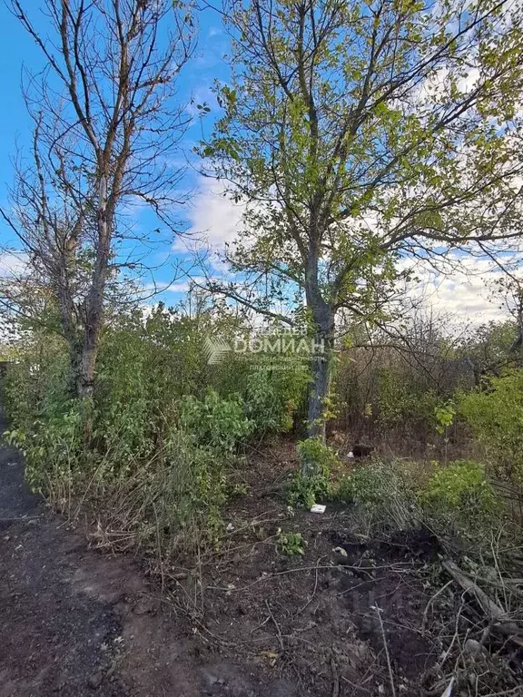 Участок в Ростовская область, Новочеркасск ул. Ольховая, 35 (5.85 ... - Фото 1