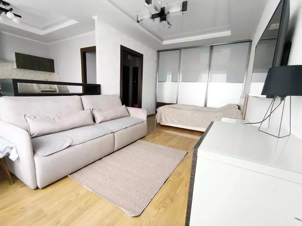 Студия Санкт-Петербург просп. Авиаконструкторов, 2 (39.0 м) - Фото 2