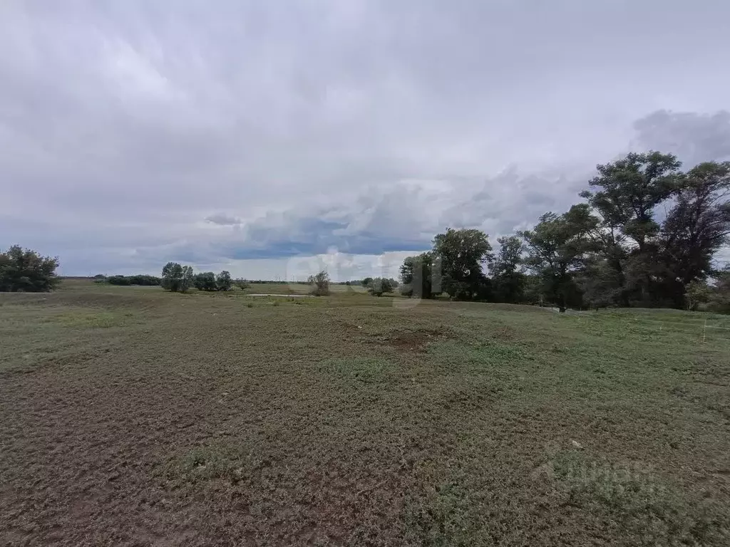 Участок в Оренбургская область, Оренбург городской округ, пос. ... - Фото 1