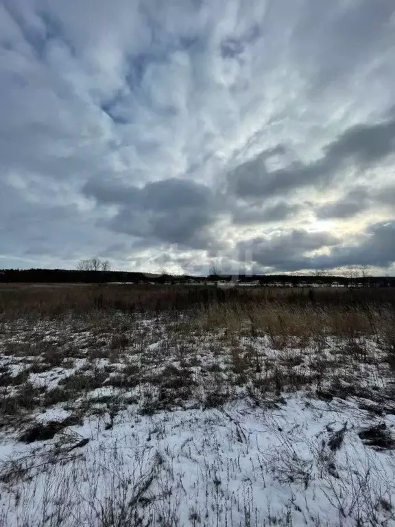 Участок в Белгородская область, Старооскольский городской округ, с. ... - Фото 0