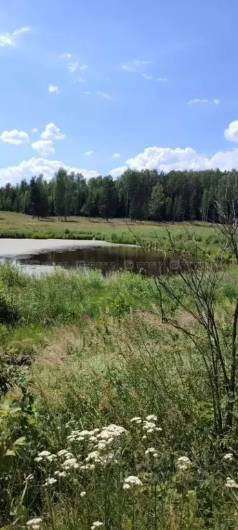 Участок в Татарстан, Высокогорский район, с. Семиозерка Луговая ул. ... - Фото 1