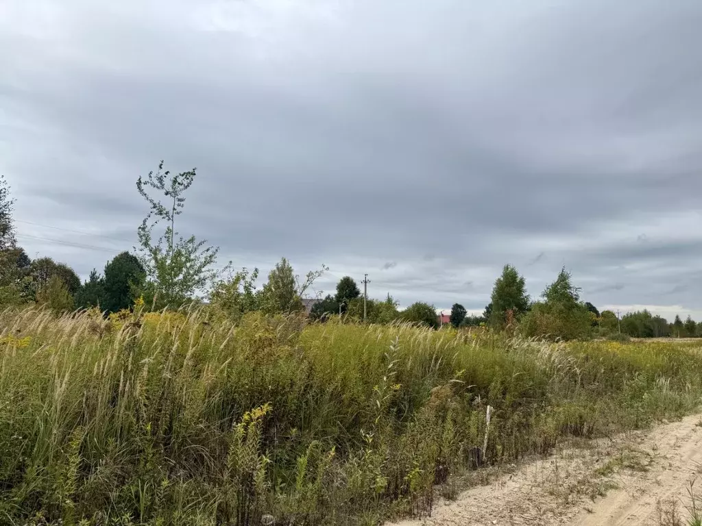 Участок в Калужская область, Калуга городской округ, д. Тинино ул. ... - Фото 1