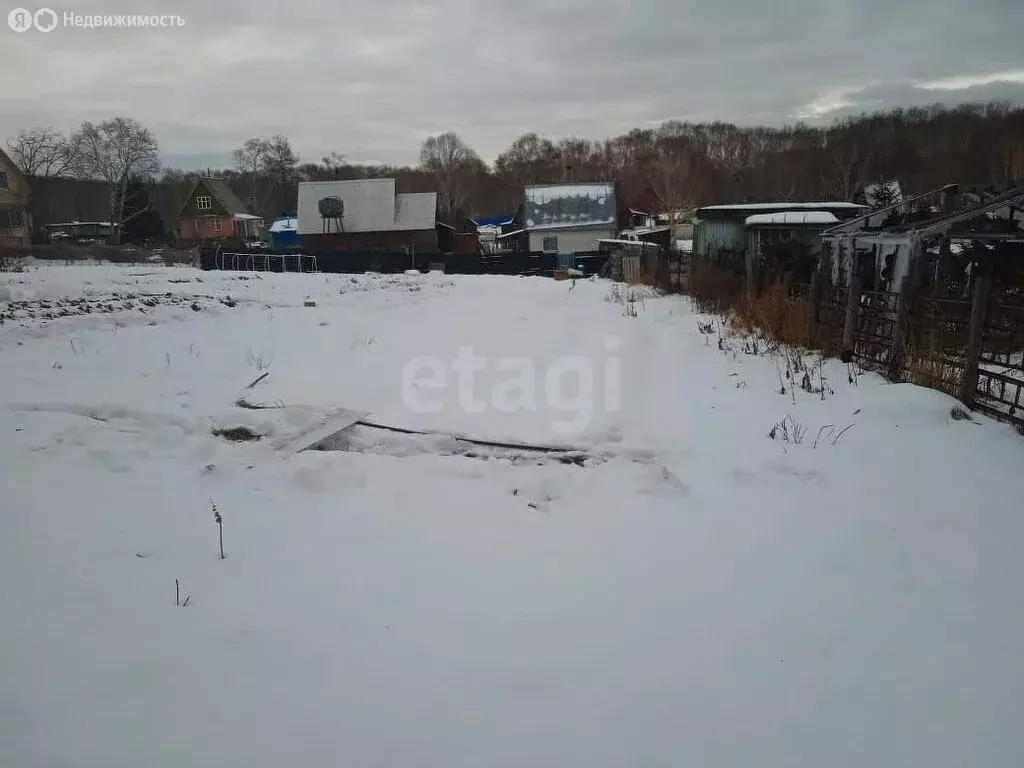 Участок в Камчатский край, Елизовский муниципальный округ, ... - Фото 1