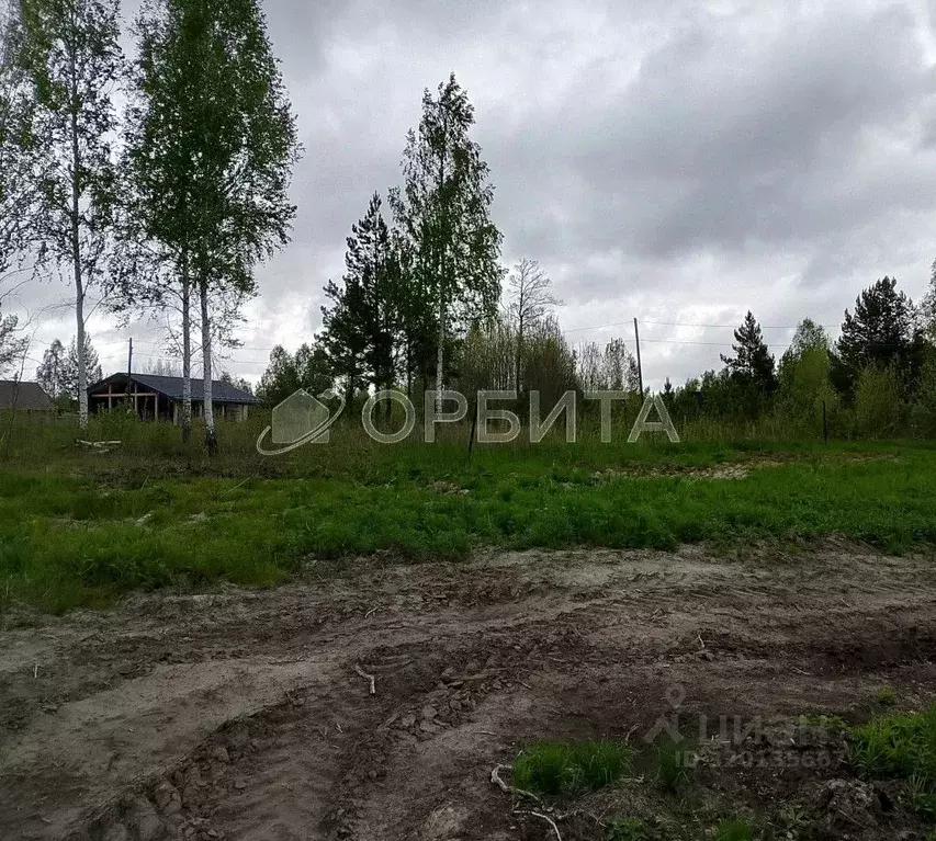 Участок в Тюменская область, Нижнетавдинский район, Здоровье-3 СТ ул. ... - Фото 0