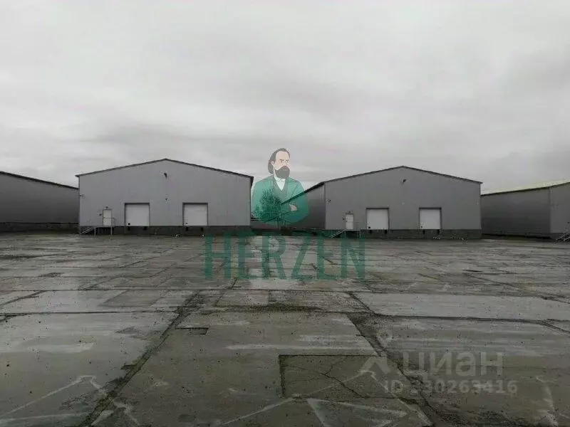 Склад в Московская область, Балашиха городской округ, д. Соболиха ул. ... - Фото 1
