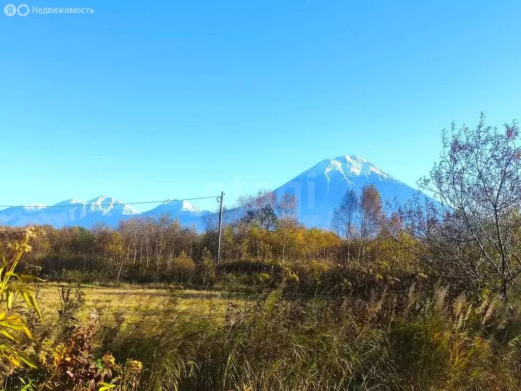 Участок в Елизово, СНТ Организатор-2 (6 м) - Фото 0