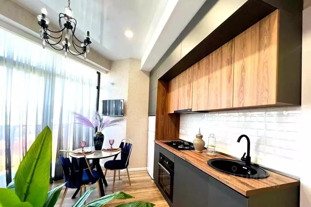 2-к кв. Краснодарский край, Сочи Курортный просп., 59 (38.0 м) - Фото 1