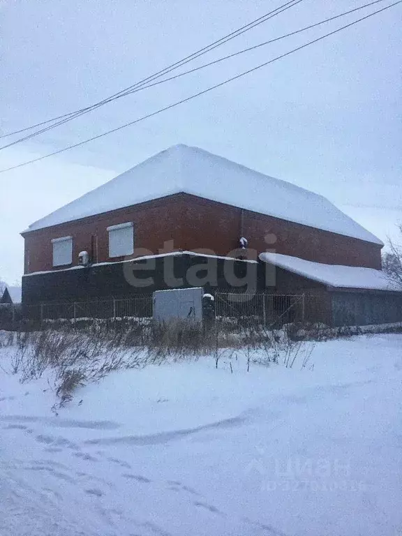 Помещение свободного назначения в Новосибирская область, Новосибирск ... - Фото 1