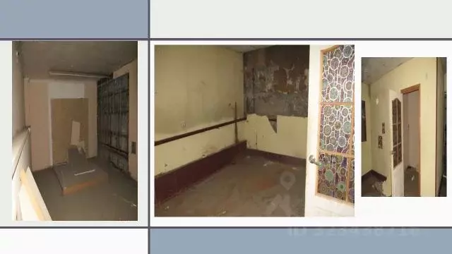 Помещение свободного назначения в Новосибирская область, Новосибирск ... - Фото 1