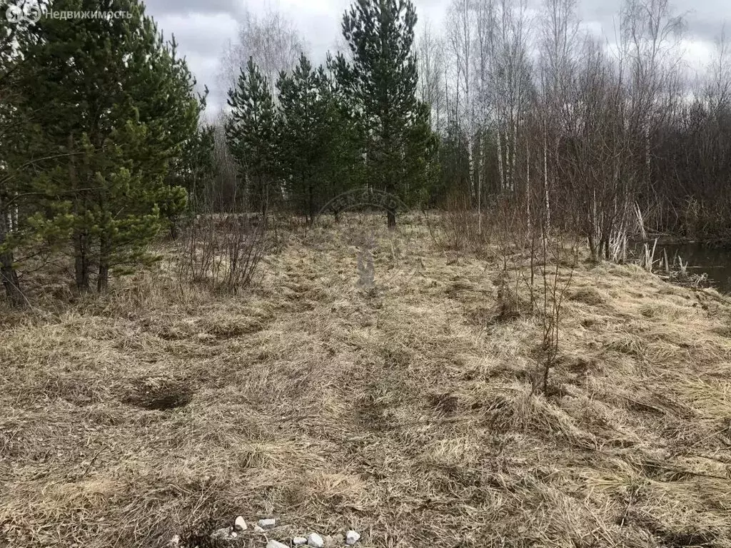 Участок в Свердловская область, городской округ Верхняя Пышма, посёлок ... - Фото 1