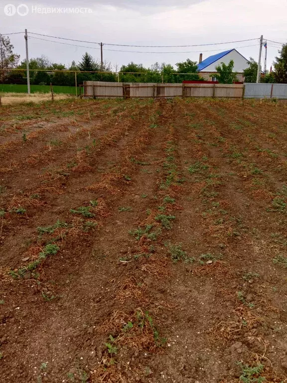 Участок в Глафировка, улица Советов (5 м) - Фото 0