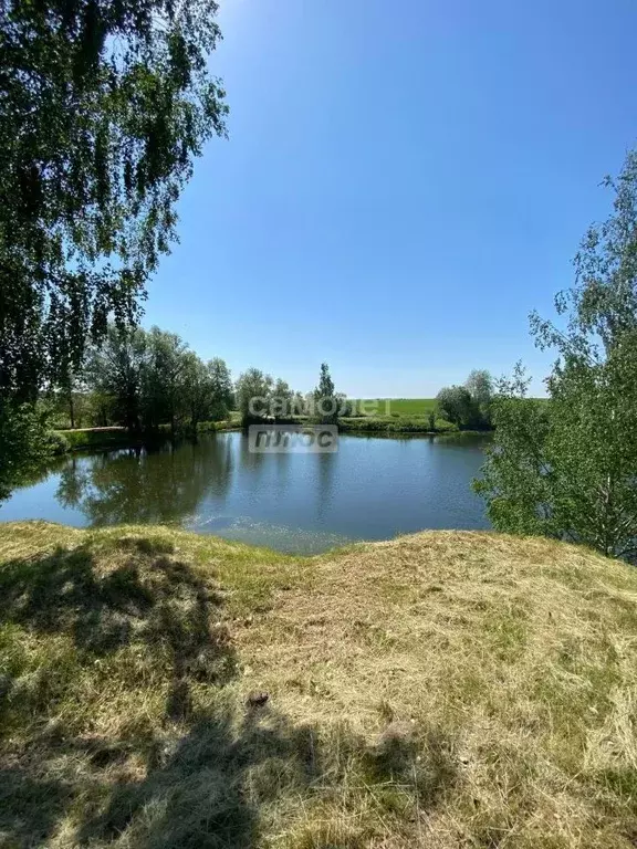 Участок в Марий Эл, Параньга пгт ул. Гагарина (35.0 сот.) - Фото 0